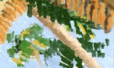 印堂发亮是福相的预兆吗？