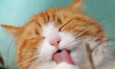 祝自己好运的网名 可以顺风顺水