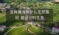 生肖属龙做什么生意最旺 最适合的生意