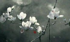 2022年2月最好的动土吉日 吉日需分析八字