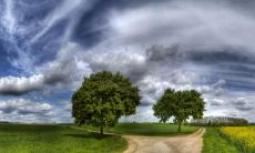 解海江姓名评分99分