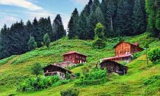 属龙可以带龙吗,属龙的人佩戴什么饰品能旺财