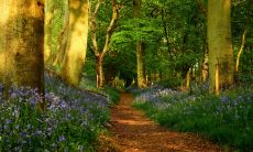 席志俊姓名评分101分