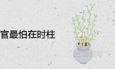 为什么正官最怕在时柱 婚姻配偶不佳吗