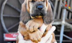 龚晨伟姓名评分82分