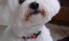 孔和莲姓名评分83分