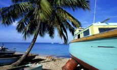 王圣婵姓名评分85分