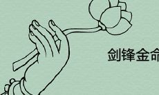 剑锋金命养什么旺自己 招财转运的植物