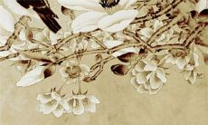 2022虎年公历8月生肖属鸡提车买车最佳的吉祥日子 买车大吉日