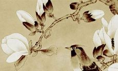 2022虎年生肖属羊在8月提新车的最好最吉利的日子 买车吉日查询