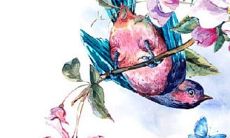 2022年生肖属马8月份适合提车买车的大吉日子 以下吉日宜提车