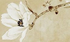 2022年生肖属狗8月份适合买新车的好日子 提车黄道吉日