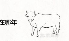 85年牛财运在哪年 做什么生意最旺