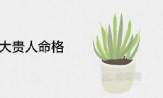 罕见的五大贵人命格