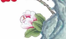 2022年9月9日适合提车吗 今日黄历宜忌分析