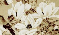 2022年8月生肖属猴宜提车买车的黄道吉日 好日子分析