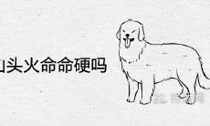 1994年山头火命命硬吗 一生命运好不好