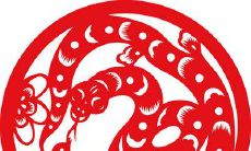 2024年适合生属龙的宝宝吗 会有什么样的命运