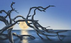 路在脚下！白羊座最适合的旅行方式