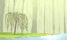 狮子座如何应对霸王级寒潮措施