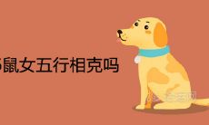 94狗男96鼠女五行相克吗 能不能在一起婚配