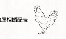 93年属鸡的属相婚配表