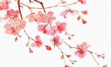 2021年7月12日开张合适吗 是开店黄道吉日吗