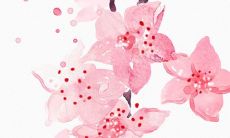 2021年7月4日是开张吉日吗 是开店铺的黄道吉日吗