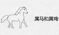 属马和属鸡合不合