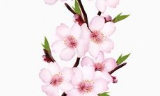 2021年7月6日宜开张开业吗 店铺开张合适吗