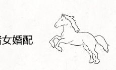 90马男95猪女婚配