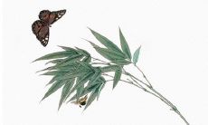 2021年7月8日能开张吗 是店铺开张的黄道吉日吗