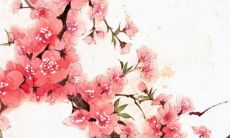 2021年7月20日宜开张开业吗 是黄道吉日吗