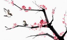 2021年7月13日宜开张开业吗 是开店好日子吗