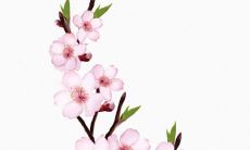 2021年7月5日开张合适吗 是不是开店好日子