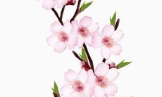 2021年7月22日能开张吗 店铺开张合适吗