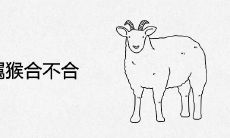 属羊和属猴合不合