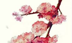 2021年7月17日公司开张好不好 是不是好日子