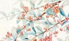 2021年7月10日公司开张好不好 店铺开张合适吗