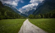 1976年12月属龙人宜忌什么生肖婚配