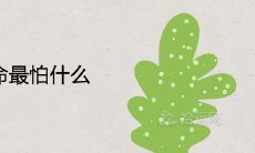 沙中土命最怕什么 有哪些禁忌讲究