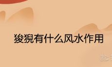 狻猊有什么风水作用 适合摆放在家中吗