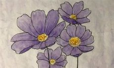 2022年8月3日提新车好不好 今日是黄道吉日吗