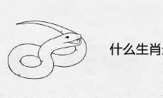 什么生肖最旺蛇
