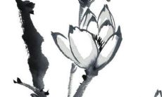 2022年8月5日提车吉利吗 这天日子如何