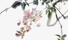 2022年8月8日提车好不好 是提新车的大吉日子吗