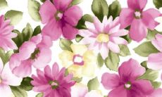 2023年2月11日是农历多少星期几 今日良辰吉时