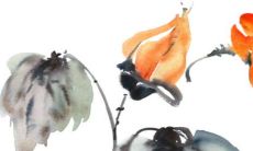 2023年农历正月十三是黄道吉日吗 这天日子好不好