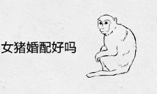 92男猴95女猪婚配好吗