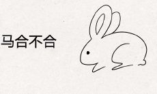 属兔和属马合不合